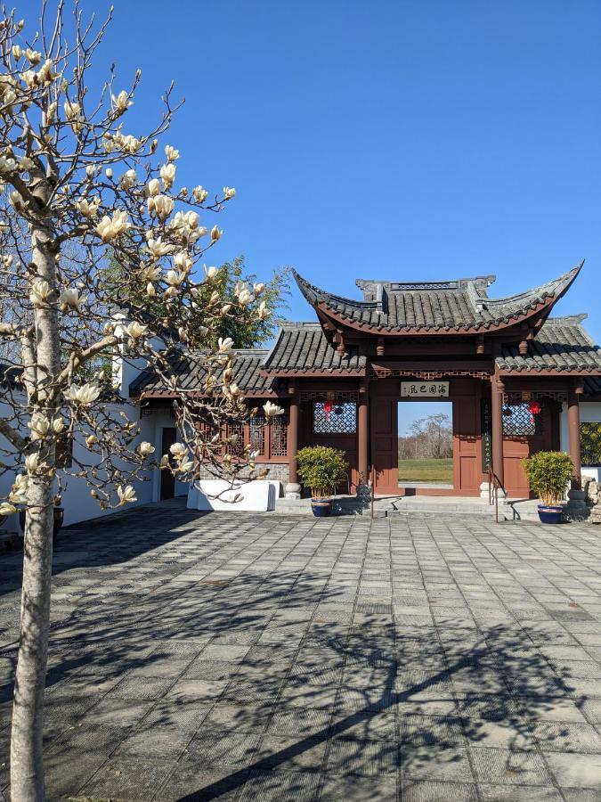 High Point Guesthouse - Next To Seattle Chinese Garden 外观 照片