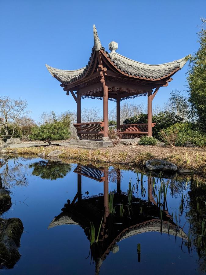 High Point Guesthouse - Next To Seattle Chinese Garden 外观 照片